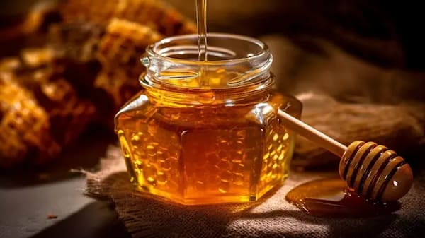تصویر 4 از خرید عسل چهل گیاه اردبیل + قیمت فروش استثنایی