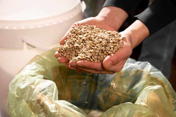 تصویر 2 از قیمت خرید گرانول بازیافتی پلی اتیلن با فروش عمده