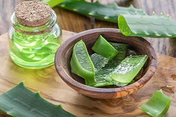 تصویر 1 از خرید و فروش آلوئه ورا شیشه ای با شرایط فوق العاده