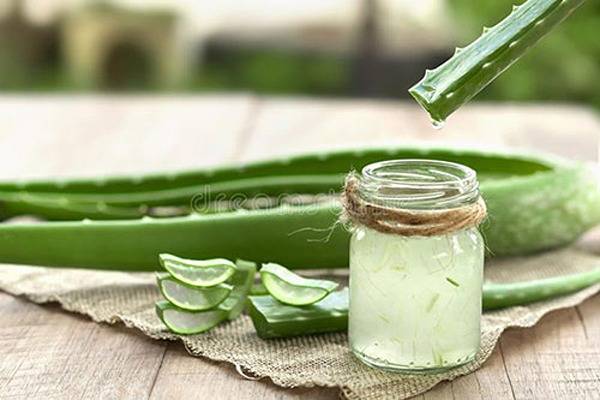 تصویر 3 از خرید و فروش آلوئه ورا شیشه ای با شرایط فوق العاده
