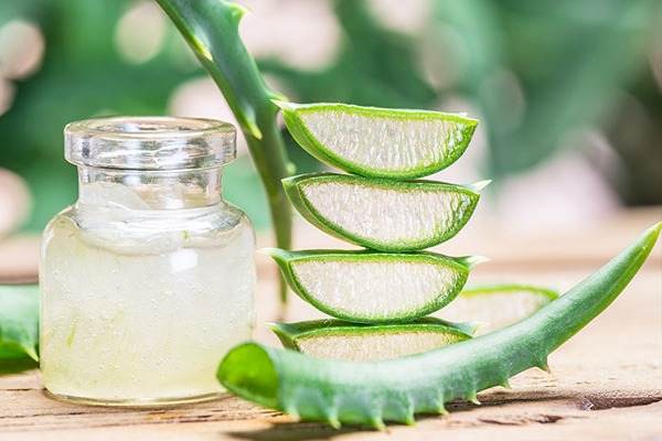 تصویر 4 از خرید و فروش آلوئه ورا شیشه ای با شرایط فوق العاده