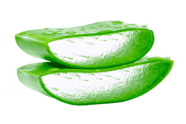 تصویر 1 از فروش ژل آلوئه ورا خارجی + قیمت خرید به صرفه