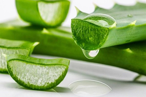 تصویر 4 از فروش ژل آلوئه ورا خارجی + قیمت خرید به صرفه