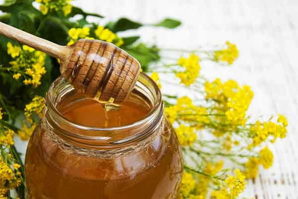تصویر 5 از قیمت عسل گون کوهدشت + خرید باور نکردنی