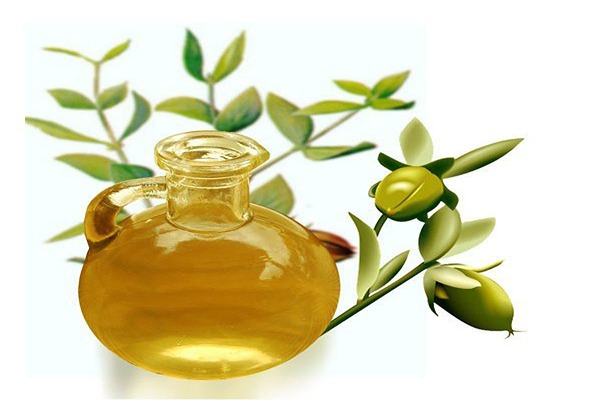 تصویر 3 از قیمت خرید روغن زیتون غنچه + فروش ویژه
