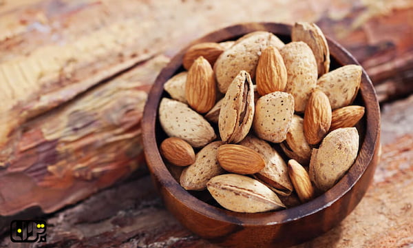 تصویر 4 از قیمت بادام درختی فله با کیفیت ارزان + خرید عمده