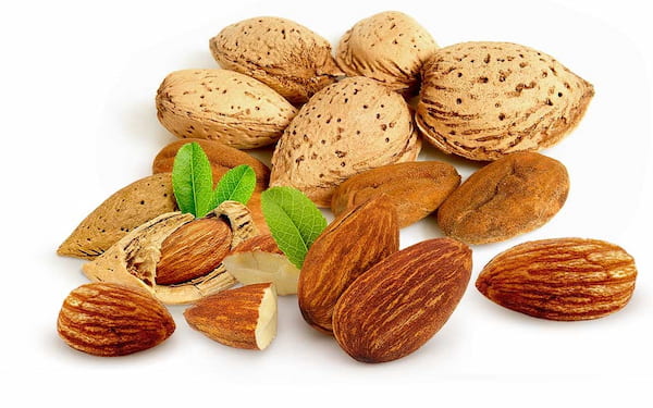 تصویر 1 از خرید و قیمت بادام سنگی درشت + فروش عمده