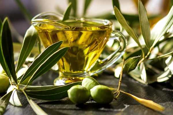 تصویر 4 از قیمت خرید روغن زیتون خارجی اصل با فروش عمده