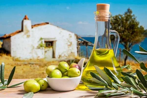 تصویر 5 از قیمت روغن زیتون شیرین + خرید باور نکردنی