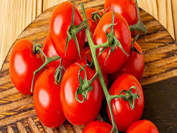 تصویر 1 از خرید گوجه فرنگی محلی + قیمت فروش استثنایی