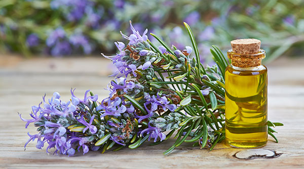 تصویر 5 از قیمت خرید روغن پایه کنجد با فروش عمده