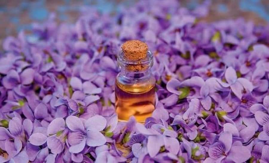 تصویر 1 از خرید و قیمت روغن کنجد پایه بنفشه + فروش عمده