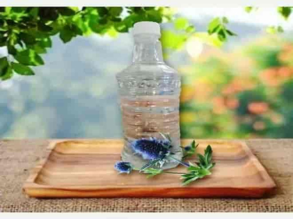 تصویر 2 از خرید و فروش عرق بوقناق برای لاغری با شرایط فوق العاده