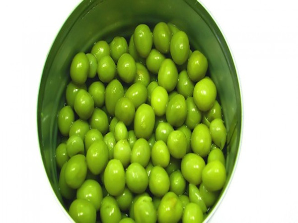 تصویر 4 از قیمت خرید کنسرو نخود فرنگی بیژن + فروش ویژه