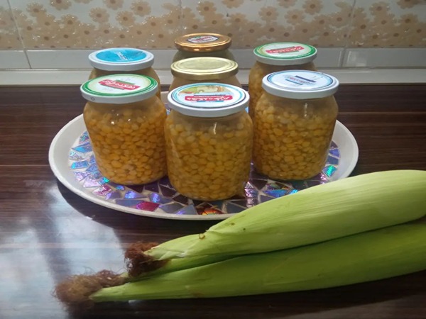 تصویر 4 از کنسرو ذرت اویلا گزینه ای سالم برای صنایع غذایی مختلف