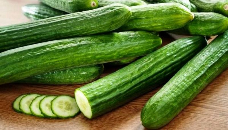 تصویر 3 از خرید خیار گلخانه ای هلیوم + قیمت فروش استثنایی