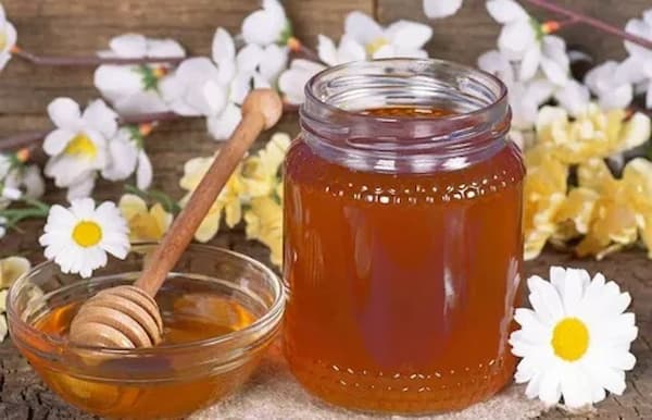 تصویر 5 از فروش عسل گون سبلان + قیمت خرید به صرفه