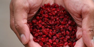 تصویر 1 از خرید زرشک اعلا قائنات + قیمت فروش استثنایی