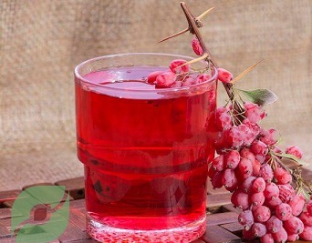 قیمت زرشک زینتی قرمز + خرید باور نکردنی