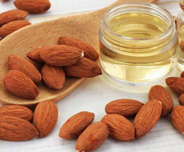 تصویر 4 از قیمت خرید بادام ربیعی + فروش ویژه