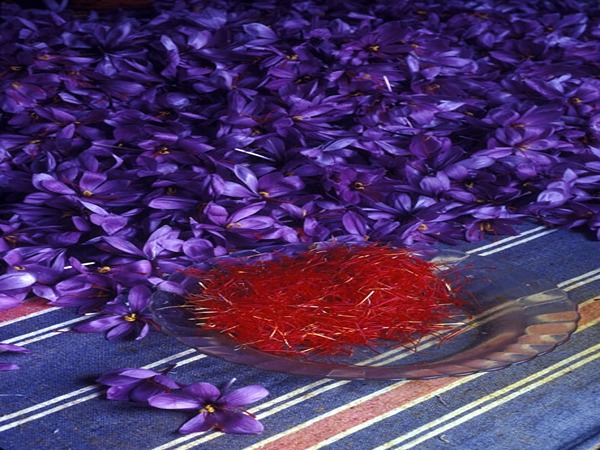 تصویر 2 از زعفران اعلا با رنگ طبیعی درجه یک