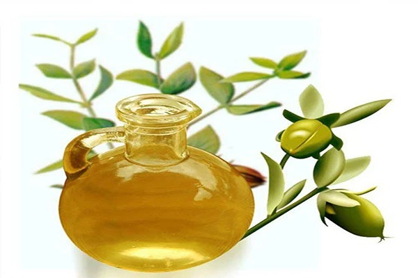 تصویر 4 از قیمت روغن زیتون 4 لیتری با کیفیت ارزان + خرید عمده