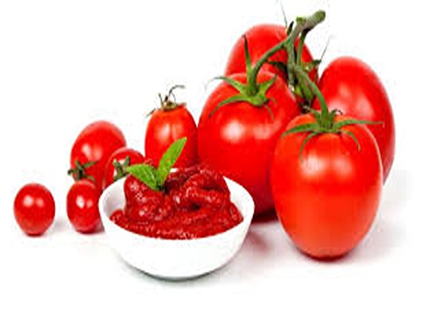 تصویر 3 از قیمت خرید گوجه فرنگی گوشتی با فروش عمده