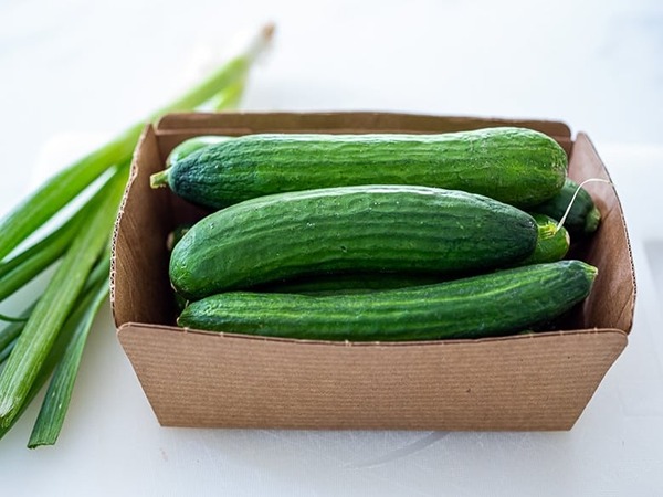تصویر 4 از فروش خیار گلخانه ای ورامین + قیمت خرید به صرفه