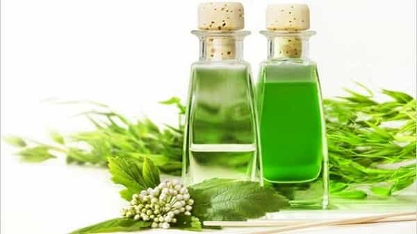تصویر 2 از خرید و قیمت فراورده های گیاهی + فروش عمده