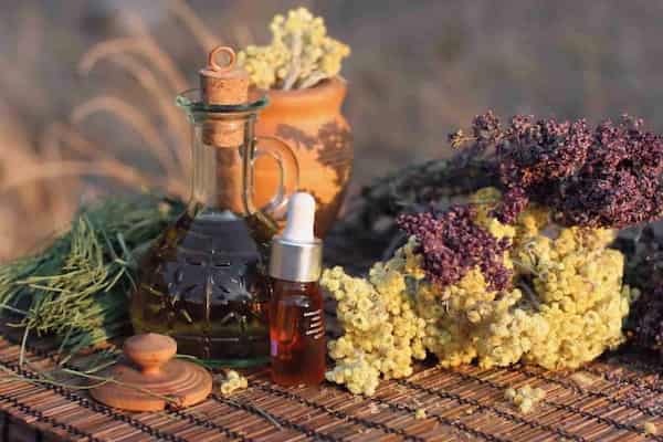 تصویر 4 از خرید فراورده های گیاهی + قیمت فروش استثنایی