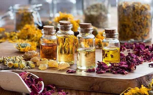 تصویر 5 از خرید فراورده های گیاهی + قیمت فروش استثنایی