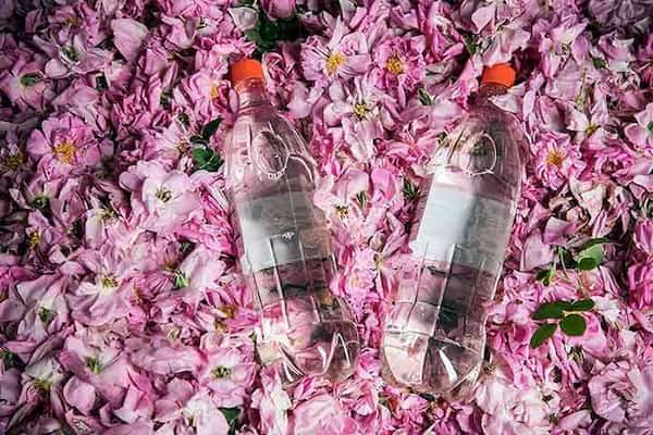 تصویر 5 از قیمت فراورده های گیاهی + خرید باور نکردنی