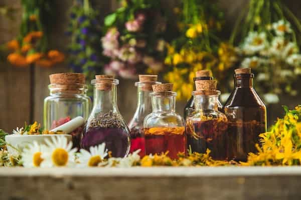 تصویر 1 از فروش فراورده های گیاهی + قیمت خرید به صرفه