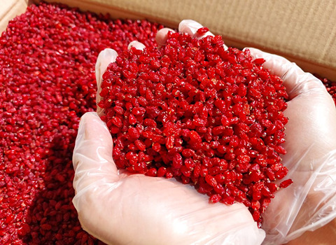تصویر 3 از خرید زرشک کوهی خشک + قیمت فروش استثنایی