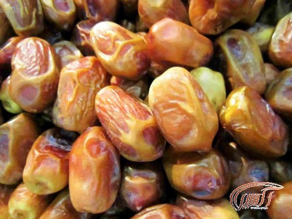 تصویر 3 از قیمت خرید خرما زاهدی اعلا با فروش عمده