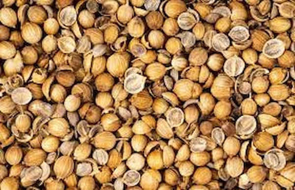 تصویر 4 از قیمت تخم گشنیز خشک شده با کیفیت ارزان + خرید عمده