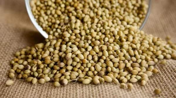 تصویر 5 از قیمت گشنیز پودر شده با کیفیت ارزان + خرید عمده
