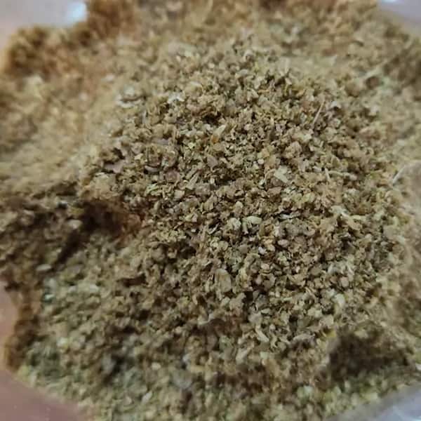تصویر 5 از قیمت خرید تخم گشنیز مرغ با فروش عمده