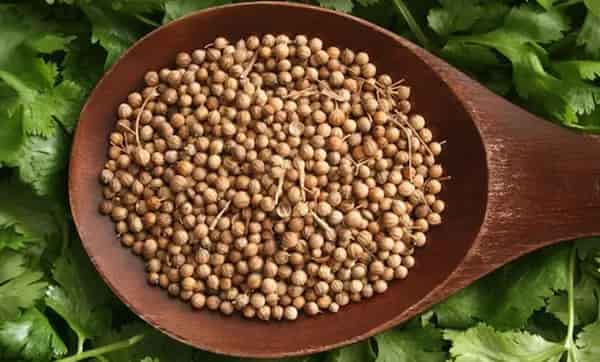 تصویر 3 از فروش تخم گشنیز کوهی + قیمت خرید به صرفه