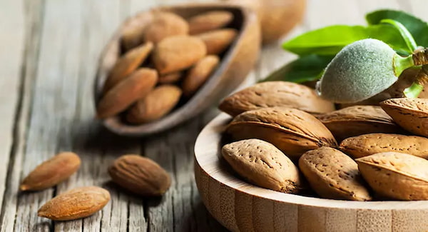 تصویر 2 از خرید و فروش بادام درختی شیرین با شرایط فوق العاده