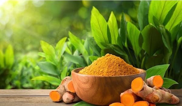 تصویر 2 از قیمت زردچوبه هندی اصل با کیفیت ارزان + خرید عمده