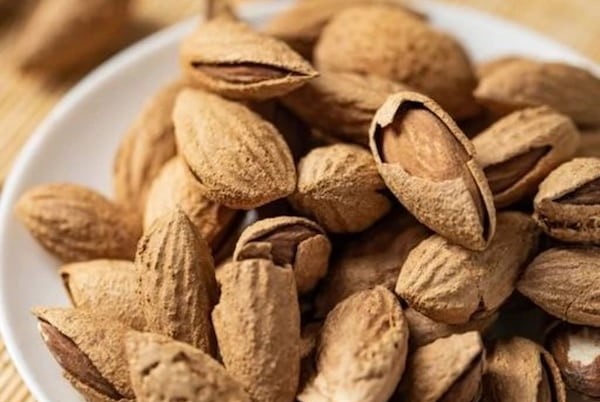 تصویر 3 از قیمت خرید بادام درختی نمکی + فروش ویژه