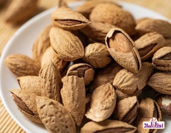 تصویر 5 از قیمت خرید بادام درختی نمکی + فروش ویژه