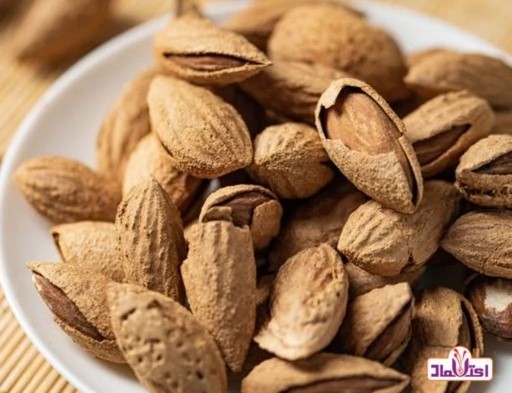 تصویر 3 از خرید و قیمت بادام درختی کاغذی + فروش عمده