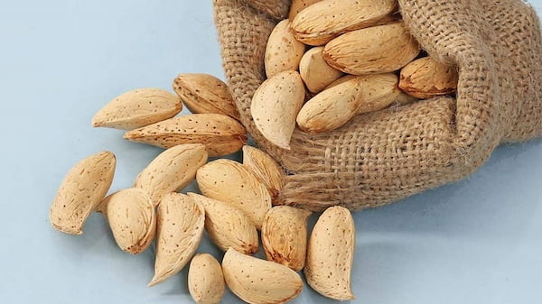 تصویر 5 از قیمت خرید بادام درختی پوست دار با فروش عمده