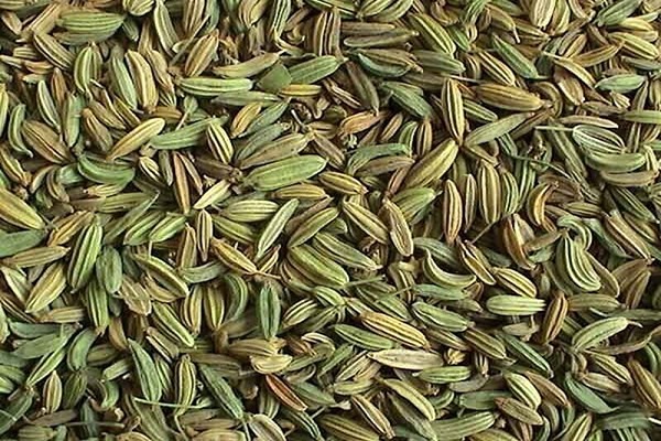 تصویر 2 از قیمت خرید زیره سبز اعلا با فروش عمده
