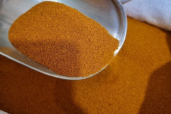 تصویر 5 از فروش خاکشیر درجه یک + قیمت خرید به صرفه