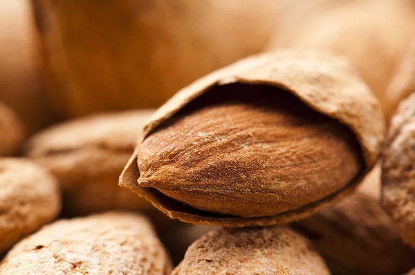 تصویر 1 از فروش مغز بادام سنگی درختی + قیمت خرید به صرفه