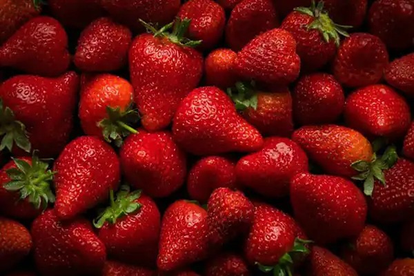 تصویر 4 از خرید و قیمت توت فرنگی وحشی + فروش عمده