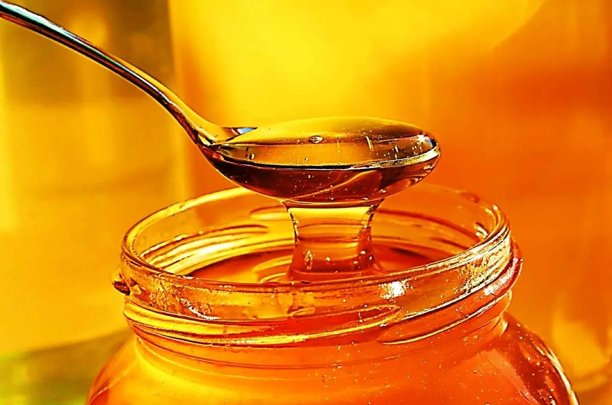 تصویر 5 از قیمت عسل کوهی درمانی + خرید باور نکردنی